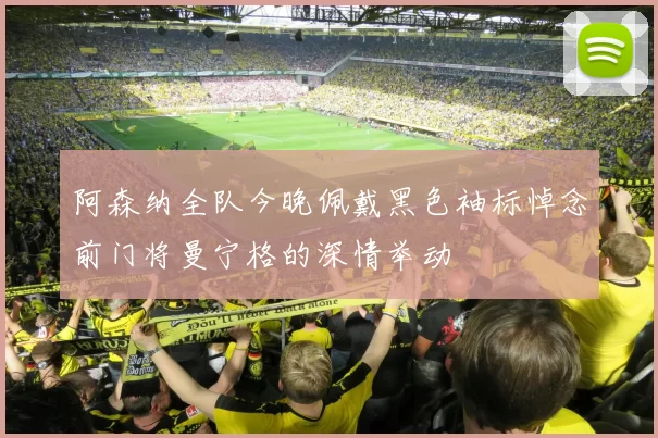 阿森纳全队今晚佩戴黑色袖标悼念前门将曼宁格的深情举动