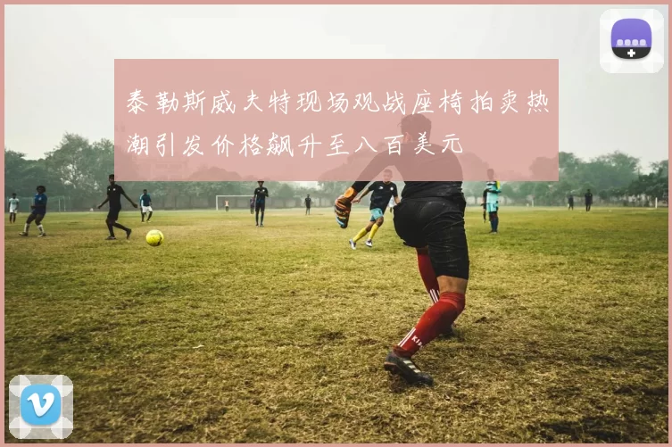 泰勒斯威夫特现场观战座椅拍卖热潮引发价格飙升至八百美元