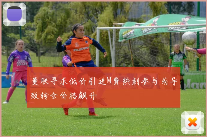 曼联寻求低价引进M费热刺参与或导致转会价格飙升