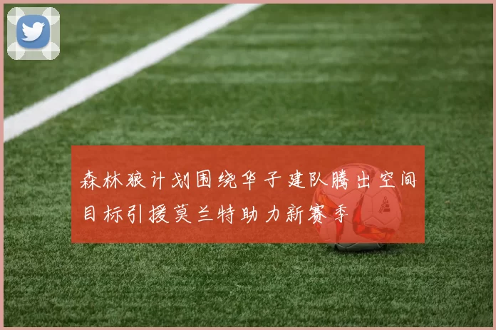 森林狼计划围绕华子建队腾出空间目标引援莫兰特助力新赛季